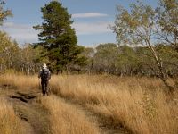 On the Autumn Creek Trail